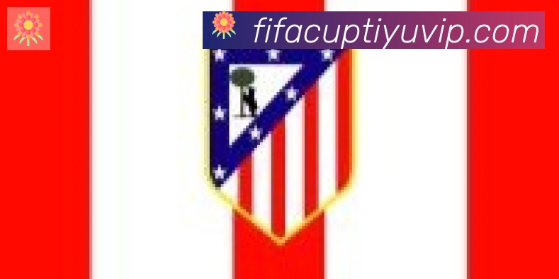 FIFA世界杯体育官方网站合作伙伴